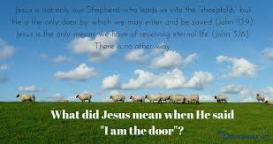 door jesus is shepherd to sheep